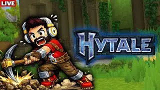 HYTALE SERVER!