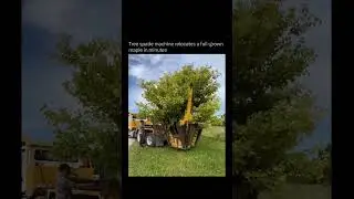 Tree spade machine relocates a full-grown maple in minutes.#nature #landscaping #innovation #explore