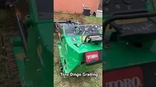 🫡Toro Dingo Grading 4 patio #toro #miniskidsteer #skidsteer #lawnmaintenance #skidsteerloader #diy
