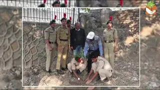 Tree plantation drive with NCC in Delhi NCR