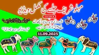 Bull Race In Pakistan | Melhu Shariff Jalsa Highlights | 11.09.2025 | Sky Video Fateh Jang 