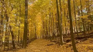 Ravi Nature Explorer  is at Gully Brook Park in Willoughby Ohio Please Join for fall colors.