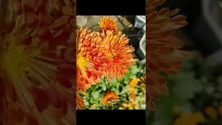 Astrid S - Hurts So Good (Lyrics) edit video #Astrid s#emotional song