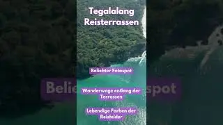 Bfacts &uuml;ber Bali | Hotspot