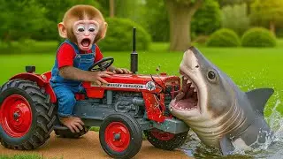 Monkey Zio&rsquo;s Epic Tractor Adventure to Take Back the Wheel from a Shark! 🐒🚜🦈