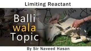 Limiting Reactant || Introduction || Part 1 || Limiting Factor || Sir Naveed Hasan || MSA Taleem