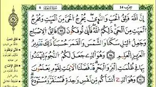 الصفحة 140 :سورة الأنعام من الآية 95 إلى 101