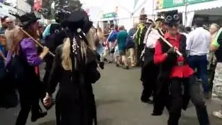 Weasels revenge, Catseye Morris, R C S  2016
