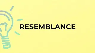 What is the meaning of the word RESEMBLANCE?