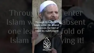 The Magnificent Virtue of  