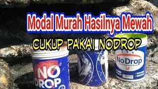 Cara Membuat Warna Untuk Cat Relief Taman