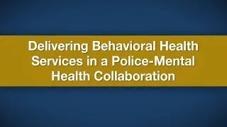 Delivering Behavioral Health Services