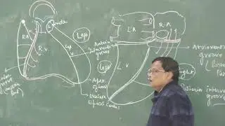 MBBS Class (2025-2026 Batch) Of Santiniketan Medical College & Hospital