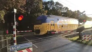 Treinen in Maasbracht