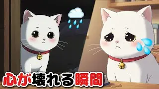 猫は本当に悲しい？【95％が知らない５つの行動】