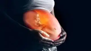 Muziek voor ongeboren baby 💛 Klassieke muziek voor baby Brain Development 🧡