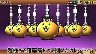 超極ネコ祭引いたらエグい神引きしました