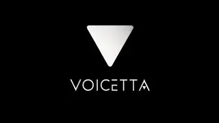Voicetta - Starting Hotel Phone Concierge from Scratch.