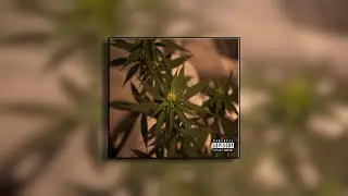 Stick Figure x Through The Roots Type Beat - 