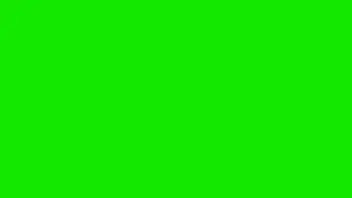 Elephant Green Screen Effect