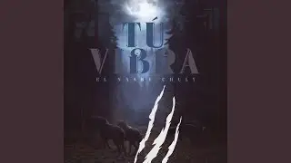 TU VIBRA