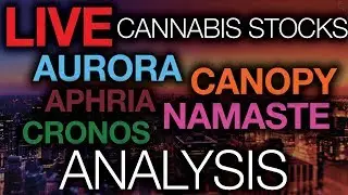 What Happened AFTER THE BELL! Aurora Cannabis(ACB) Namaste(N), Aphria(APHA) Stock Market News 2019