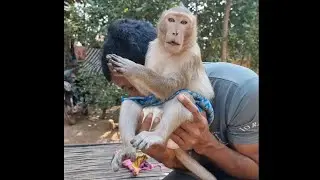 My Best Princess Shally Reacting So lovely to Daddy