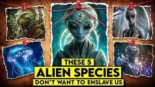 These 5 Alien Species Don&rsquo;t Want To Enslave Us - Alien Races