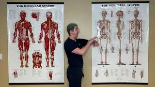 Teres Minor Stretch
