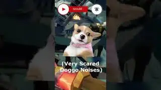 🐕Scared Doggo Noises🐕 (Sea of Thieves) #seaofthieves #sot #glitches #bug #shorts #pvp #gaming