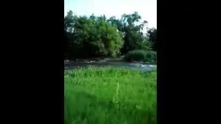 MOV00241