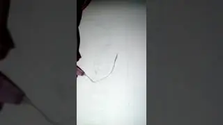Let draw: kooky gal (congrats!~)