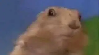 Dramatic Chipmunk New Version