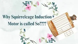 Why squirrel cage induction motor is called so? 