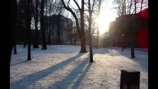 Early Spring Bird Singing 2015 Tallinn