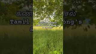 கண்ணே கரிசல்...#yazhvizhi3  #tamil #hit's#songs #lyrics #album #song #music #trending #viral #shorts