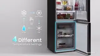 BESPOKE RB7300: Cool Select Plus | Samsung