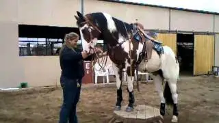 Fancy standing on the pedestal 