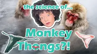 Monkey Thongs and Other Primate Oddities
