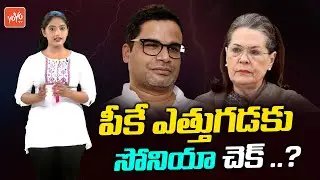 Sonia Gandhi Check To Prashant Kishore Strategy | Congress Party | Rahul Gandhi | YOYO TV Channel