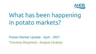 What has been happening in potato markets? Potato Market Update &ndash; April - 2021
