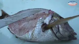 How to Fillet Porgy Scup  Dexter Outdoors