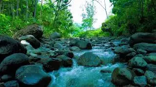 Flowing Water Over River Stones &mdash; Natural White Noise for Deep Concentration