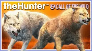DOUBLE RARES and MORE! How I Grind for the GREAT ONE WOLF! | theHunter Call of the Wild