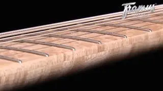 Framus Custom Shop Guitars: Diablo 7-String for Oli Schmidt of Letzte Instanz