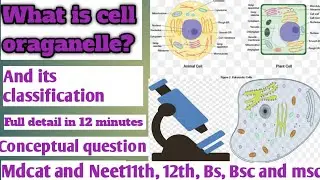 cell oraganelles and function | classifications of organelles | full detail lecture