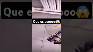 que es esoooo una entidad estoplasmaticaaaa?#paranormal #entidad #demonio #eventoparanormales