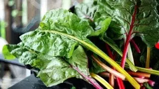 Acne Free Diet and the Importance of Green Leafy Vegetables