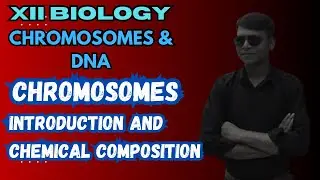CHROMSOME | INTRODUCTION | STRUCTURE | CHEMICAL COMPOSITION OF CHROMOSOMES