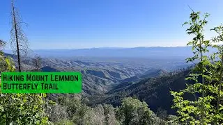 Mount Lemmon Hiking Adventure: Butterfly Trail